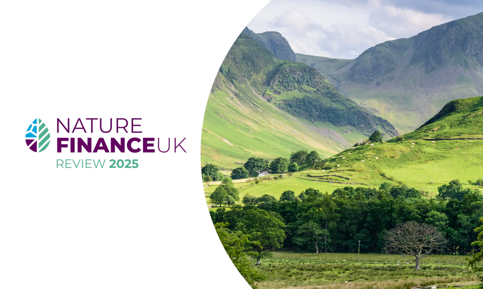 Nature Finance UK Review 2025 published: Key insights into a growing ...