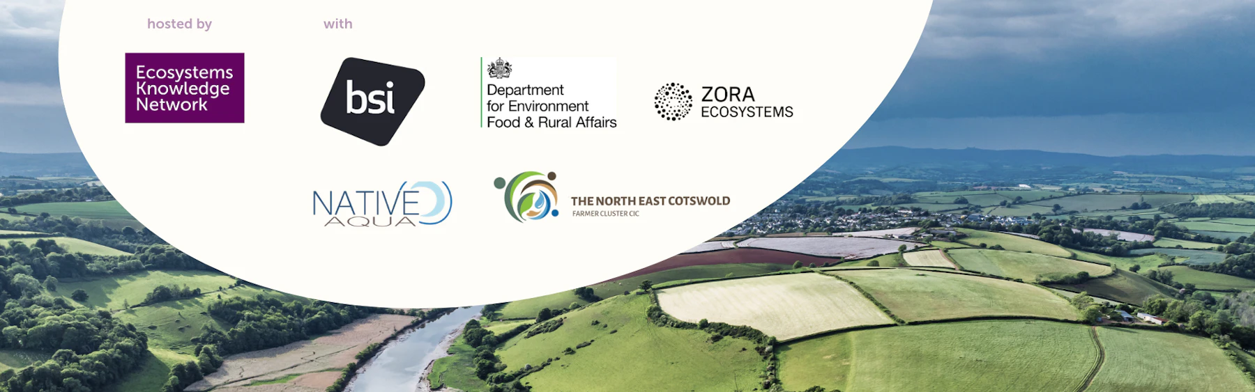 BSI Nature Investment Standards - Early Adopters Findings - Ecosystems ...