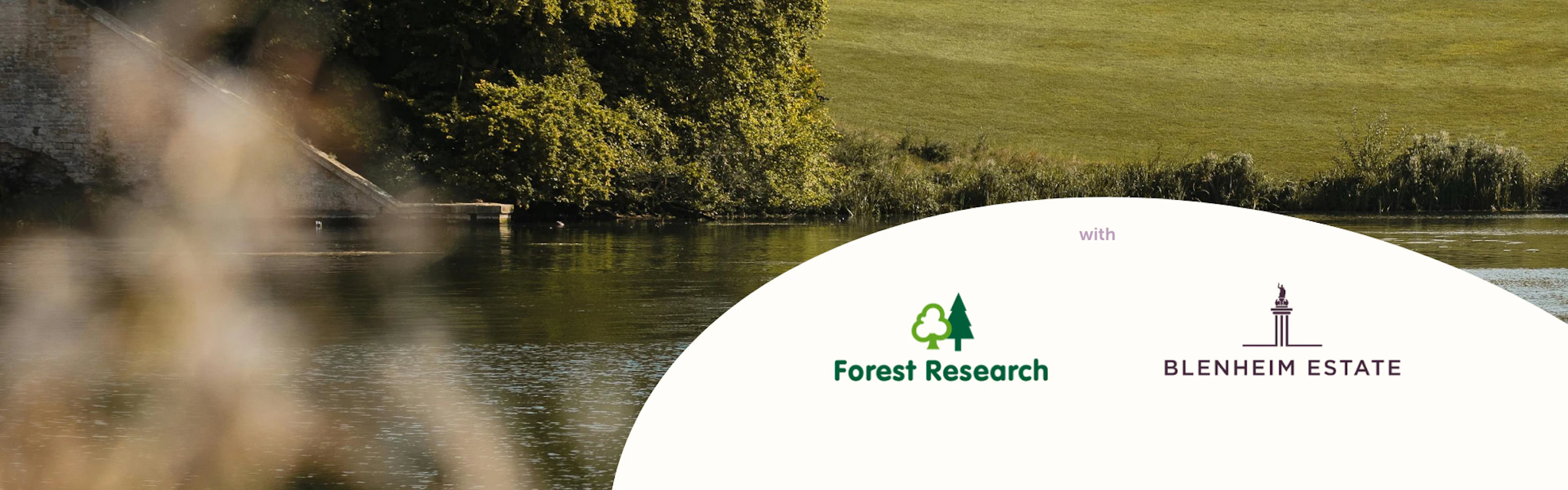 Developments in a new Woodland Water Code for UK nature markets ...